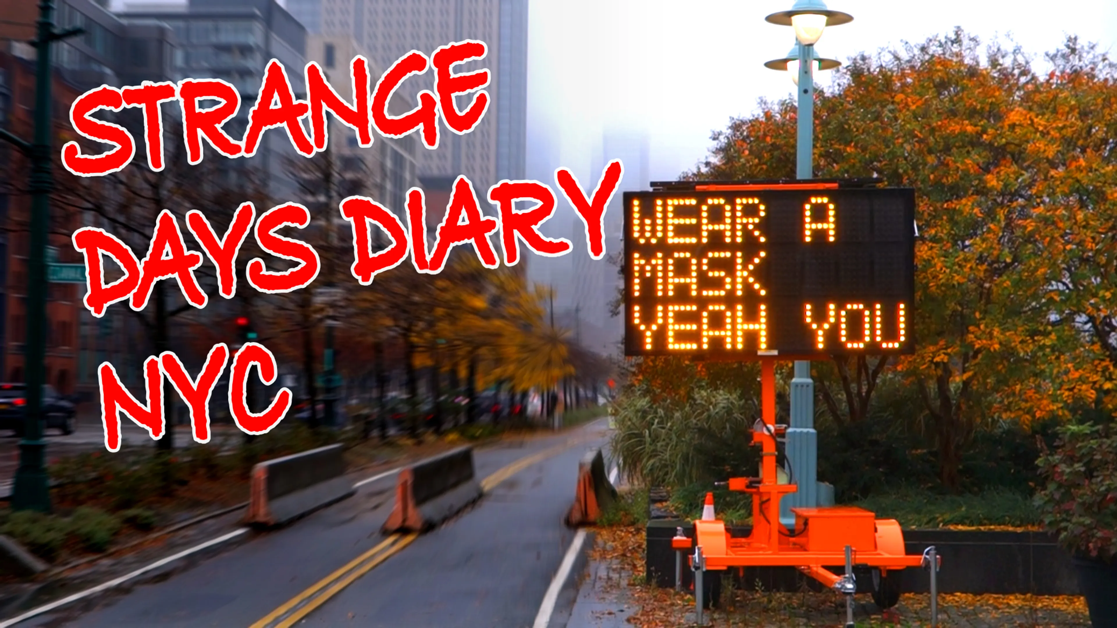 Strange Days Diary NYC poster